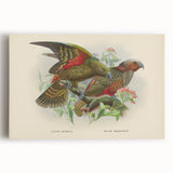 Vintage Animal Art: Parrot Illustration Art Print