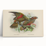 Vintage Animal Art: Parrot Illustration Art Print