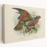 Vintage Animal Art: Parrot Illustration Art Print