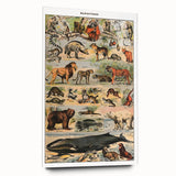 Vintage Animal Art: Timeless Wildlife Illustration Prints