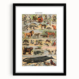 Vintage Animal Art: Timeless Wildlife Illustration Prints