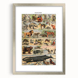 Vintage Animal Art: Timeless Wildlife Illustration Prints