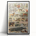 Vintage Animal Art: Timeless Wildlife Illustration Prints