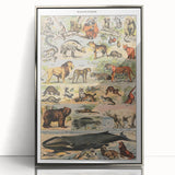 Vintage Animal Art: Timeless Wildlife Illustration Prints