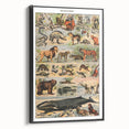 Vintage Animal Art: Timeless Wildlife Illustration Prints