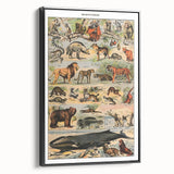 Vintage Animal Art: Timeless Wildlife Illustration Prints