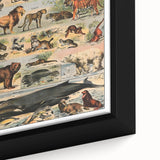 Vintage Animal Art: Timeless Wildlife Illustration Prints