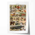 Vintage Animal Art: Timeless Wildlife Illustration Prints