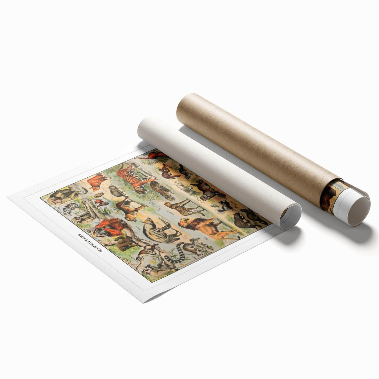Vintage Animal Art: Timeless Wildlife Illustration Prints