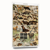 Vintage Animal Art: Detailed Wildlife Illustration Prints