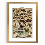Vintage Animal Art: Detailed Wildlife Illustration Prints