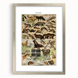 Vintage Animal Art: Detailed Wildlife Illustration Prints