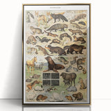 Vintage Animal Art: Detailed Wildlife Illustration Prints