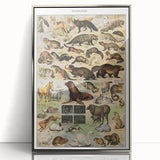 Vintage Animal Art: Detailed Wildlife Illustration Prints