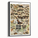 Vintage Animal Art: Detailed Wildlife Illustration Prints