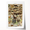 Vintage Animal Art: Detailed Wildlife Illustration Prints