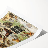 Vintage Animal Art: Detailed Wildlife Illustration Prints