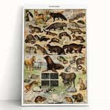 Vintage Animal Art: Detailed Wildlife Illustration Prints