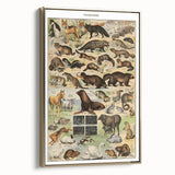 Vintage Animal Art: Detailed Wildlife Illustration Prints