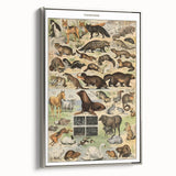 Vintage Animal Art: Detailed Wildlife Illustration Prints