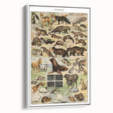 Vintage Animal Art: Detailed Wildlife Illustration Prints