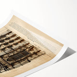 Extra large wall art featuring line art flowers in black on white, rolled canvas format.