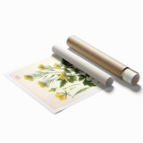 Botanical Art Prints - Vintage Sinapis Alba Illustration Art