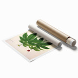 Botanical Art Prints - Vintage Hydrastis Canadensis Illustration Art