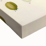 Botanical Art Prints - Vintage Croton Tiglium Illustration Art