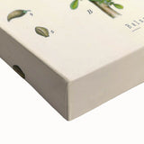 Botanical Art Prints - Vintage Balsamodendron Myrrha Illustration Art