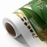 Botanical Art Prints - Vintage Elettaria Cardamomum Illustration Art