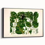 Botanical Art Prints: Elegant Floral & Leafy Plant Illustrations