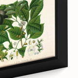 Botanical Art Prints: Elegant Floral & Leafy Plant Illustrations