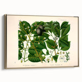 Botanical Art Prints: Elegant Floral & Leafy Plant Illustrations