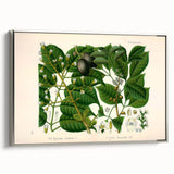 Botanical Art Prints: Elegant Floral & Leafy Plant Illustrations