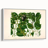 Botanical Art Prints: Elegant Floral & Leafy Plant Illustrations