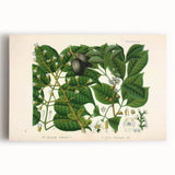 Botanical Art Prints: Elegant Floral & Leafy Plant Illustrations