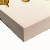 Vintage Botanical Art Print - Cubeba Officinalis Cubeb Pepper Illustration