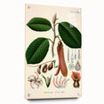 Vintage Botanical Illustration Art | Nature-Inspired Wall Art