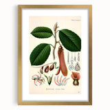 Vintage Botanical Illustration Art | Nature-Inspired Wall Art