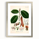 Vintage Botanical Illustration Art | Nature-Inspired Wall Art