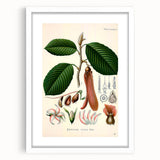 Vintage Botanical Illustration Art | Nature-Inspired Wall Art