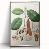 Vintage Botanical Illustration Art | Nature-Inspired Wall Art