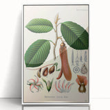 Vintage Botanical Illustration Art | Nature-Inspired Wall Art