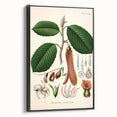 Vintage Botanical Illustration Art | Nature-Inspired Wall Art