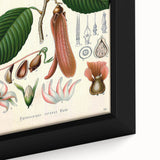Vintage Botanical Illustration Art | Nature-Inspired Wall Art