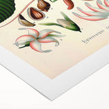 Vintage Botanical Illustration Art | Nature-Inspired Wall Art