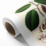 Vintage Botanical Illustration Art | Nature-Inspired Wall Art