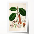 Vintage Botanical Illustration Art | Nature-Inspired Wall Art