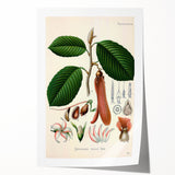 Vintage Botanical Illustration Art | Nature-Inspired Wall Art
